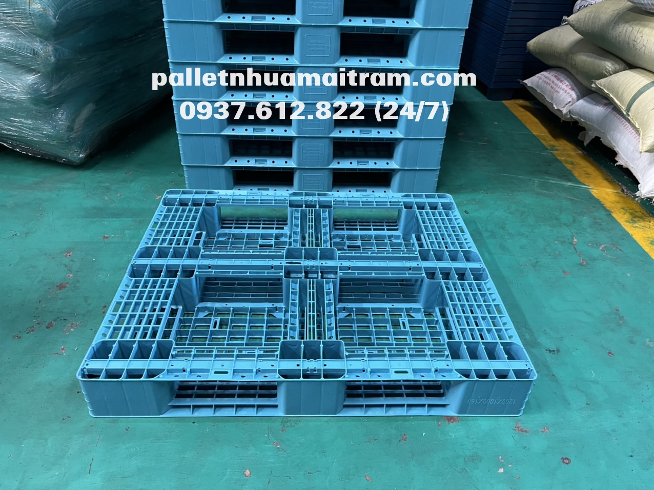 Địa chỉ cung cấp pallet nhựa Cà Mau giá sỉ, siêu bền