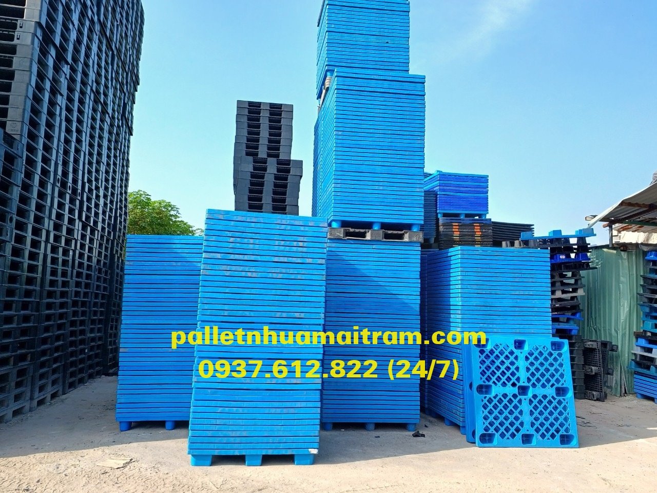 Pallet nhựa cũ Đắk Nông tốt nhất thị trường hiện nay