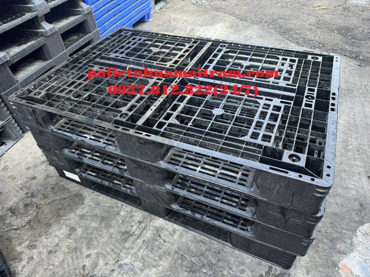 Cung cấp pallet nhựa cũ Hải Phòng giá siêu hời