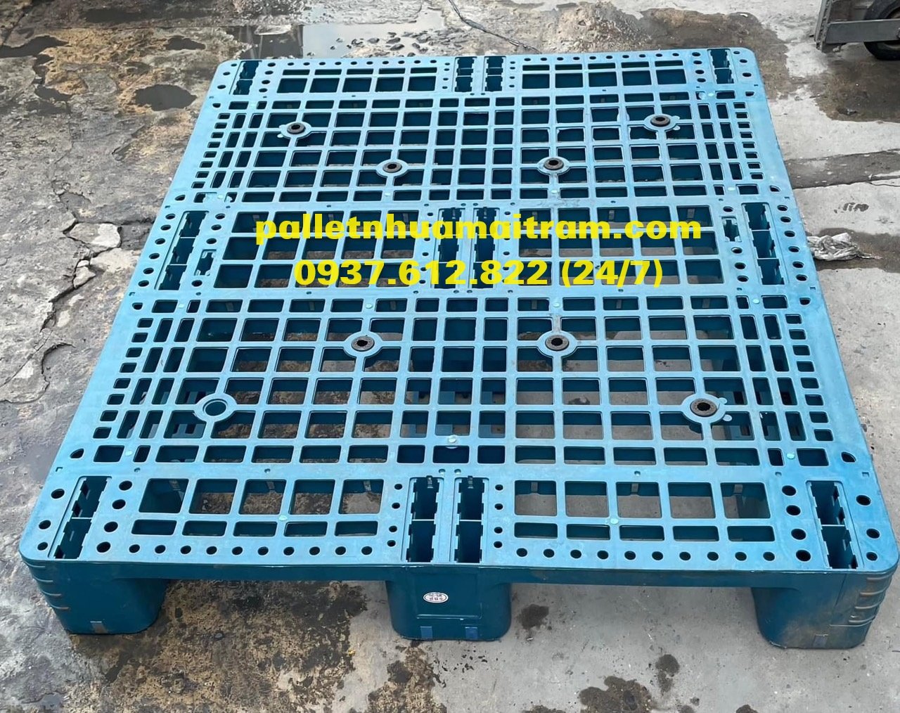 Cung cấp pallet nhựa Khánh Hoà đa dạng mẫu mã