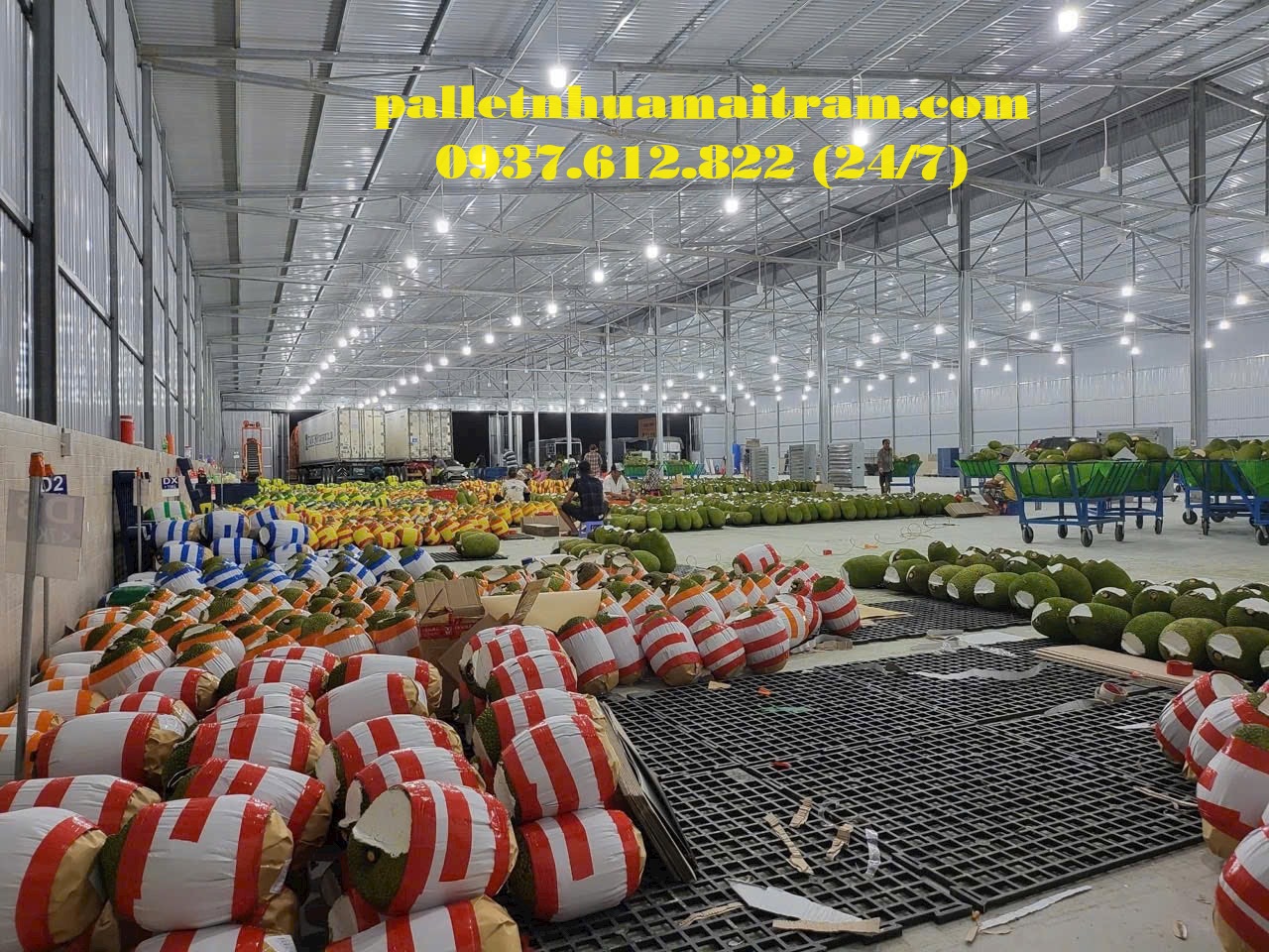 Pallet nhựa không chân giá rẻ chất lượng cao