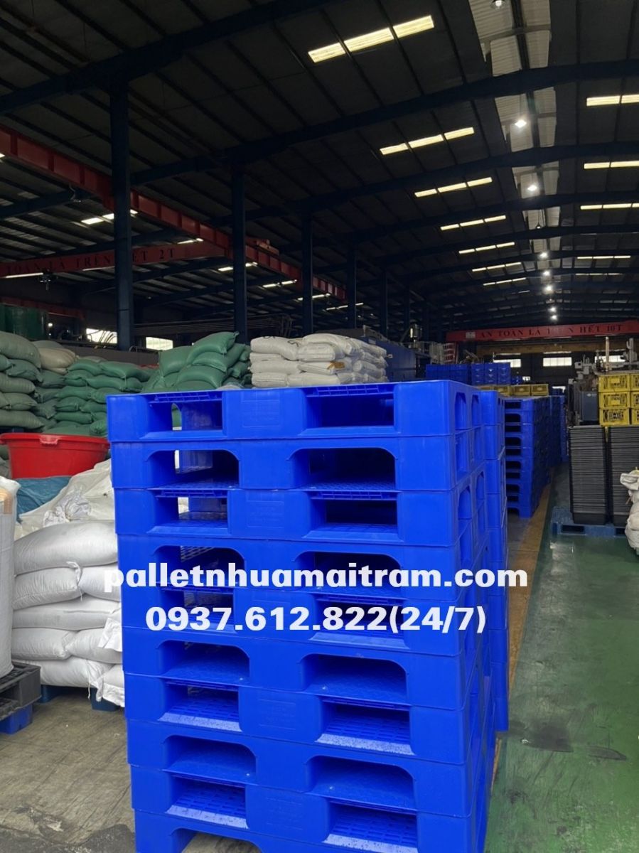 Vì sao pallet nhựa màu xanh được nhiều khách hàng lựa chọn?