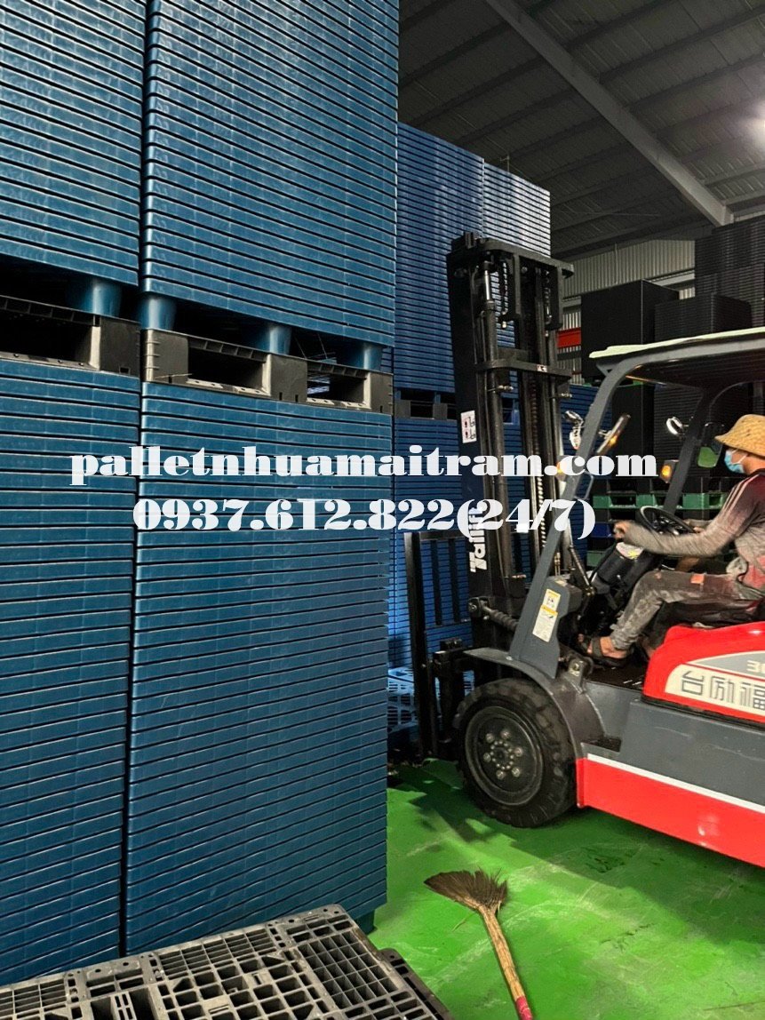 Vì sao pallet nhựa màu xanh được nhiều khách hàng lựa chọn?