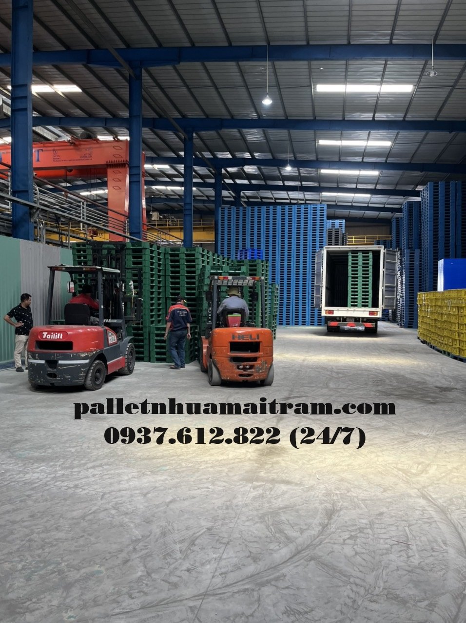 Cung cấp pallet nhựa cũ Hải Phòng giá siêu hời