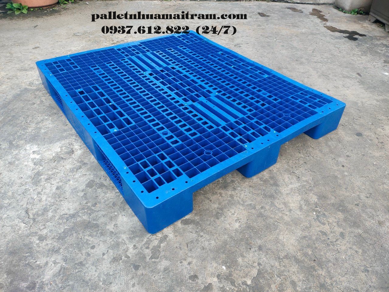 Pallet nhựa mới kích thước 1100x1300x155mm 