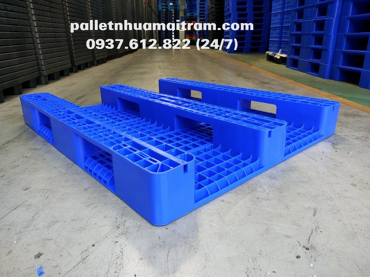 Vì sao pallet nhựa nhà máy là lựa chọn tối ưu thay thế pallet gỗ?