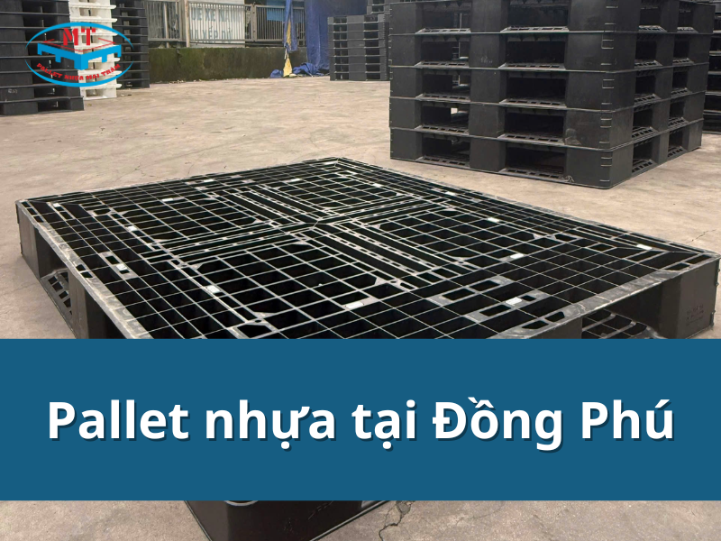 Top 5 pallet nhựa tại Đồng Phú bán chạy, giá tốt, giao nhanh
