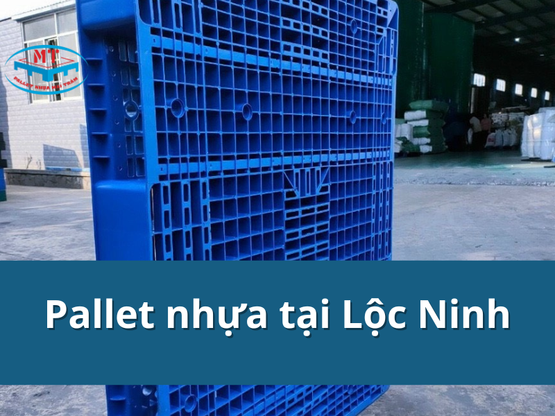Pallet nhựa tại Lộc Ninh | Bảng giá mới nhất & Địa chỉ uy tín 2025