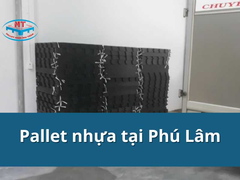 Pallet nhựa tại Phú Lâm giá rẻ hơn 20%, mẫu mã đa dạng