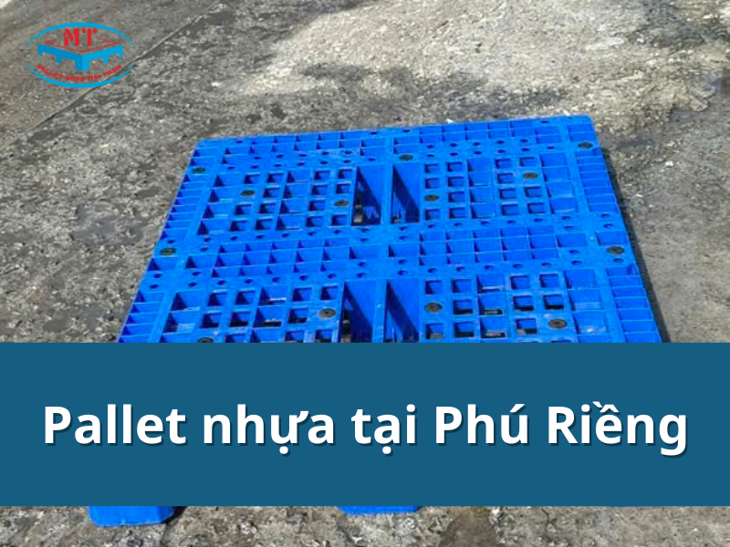 Pallet nhựa tại Phú Riềng giá tốt, giao nhanh, có sẵn hàng