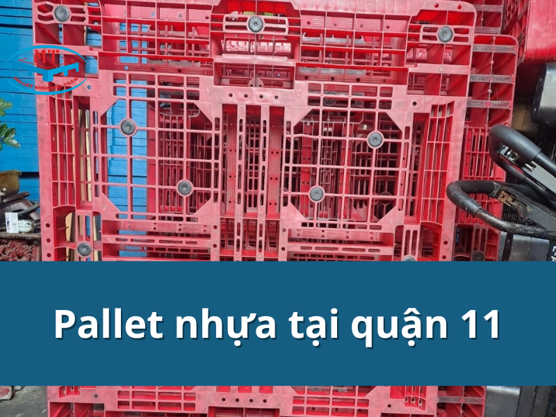 Cách chọn pallet nhựa tại quận 11 bền đẹp, giá tốt