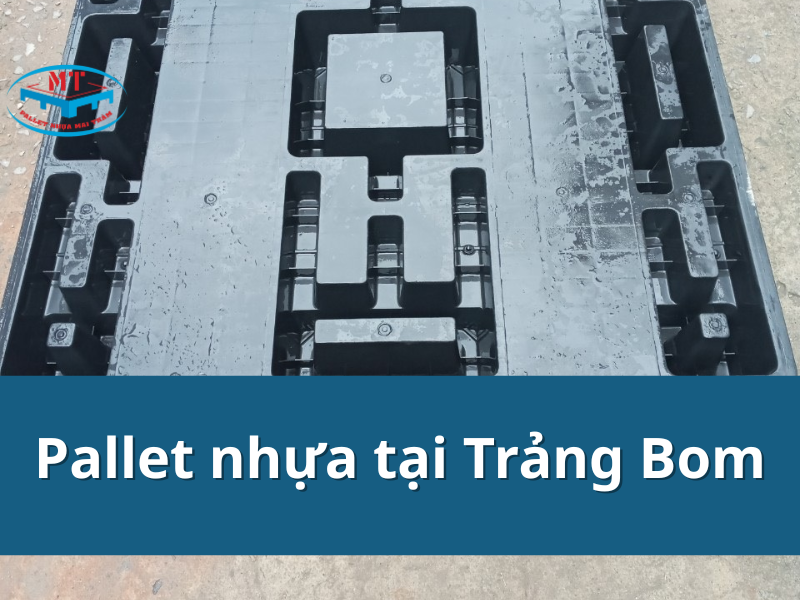 Cập nhật bảng báo giá mới nhất về pallet nhựa tại Trảng Bom