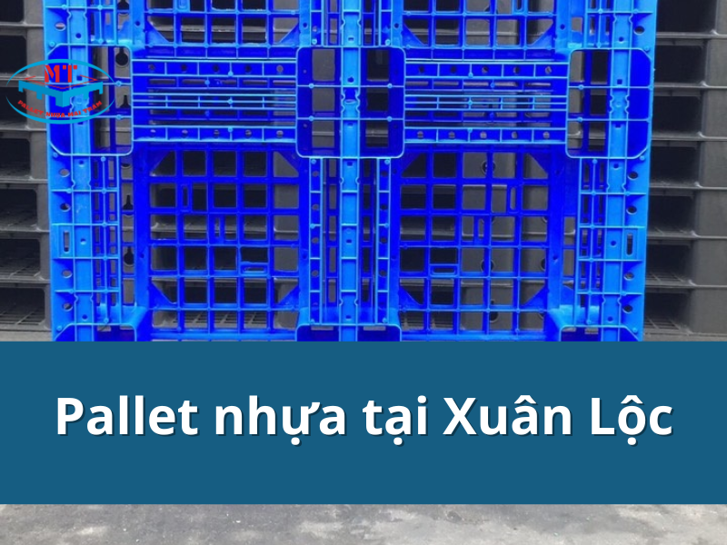 Mai Trâm là đơn vị cung cấp pallet nhưa tại Xuân Lộc, Đồng Nai 